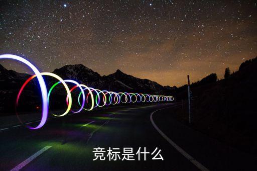 競標(biāo)是什么