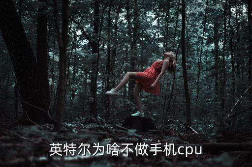 intel為什么不代工arm的cpu，Intel和AMD為什么不能和arm競(jìng)爭(zhēng)