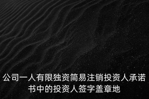 公司一人有限獨資簡易注銷投資人承諾書中的投資人簽字蓋章地