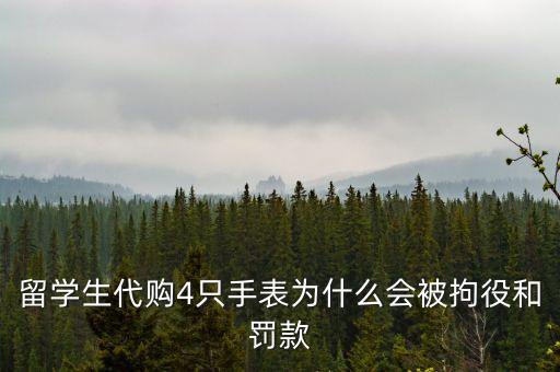 留學生代購4只手表為什么會被拘役和罰款