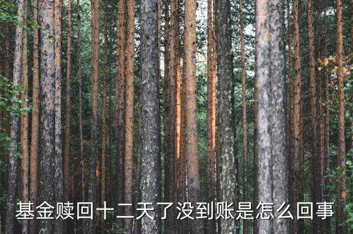 贖回成13天了為什么錢沒到賬，基金贖回成功了 為什么還沒到帳