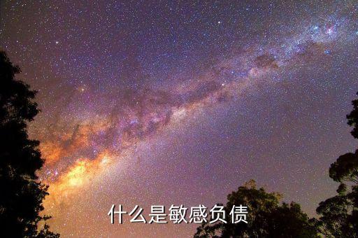 什么是直接負債，什么是直接還款