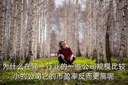 為什么分行業(yè)市盈率，同行業(yè)市盈率不同的原因