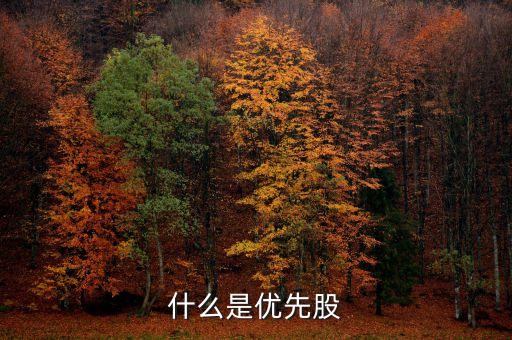 優(yōu)先股什么時候推出，什么要推出優(yōu)先股