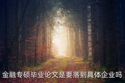 金融專(zhuān)碩畢業(yè)論文是要落到具體企業(yè)嗎