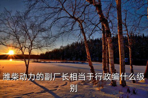 濰柴譚旭光什么級(jí)別，濰柴動(dòng)力股份有限公司董事長(zhǎng)是誰
