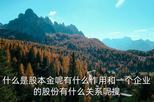 金股份是干什么的，江蘇蘇州金石股份金蘇財(cái)富是做什么的