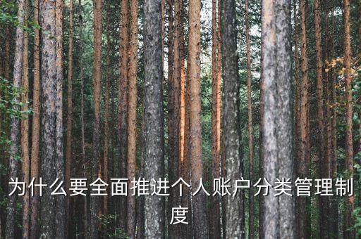 為什么進(jìn)行賬戶分類，為什么要全面推進(jìn)個人賬戶分類管理制度