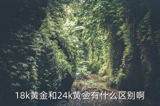 黃金首飾的24K與18K代表什么，18k黃金和24k黃金有什么區(qū)別啊