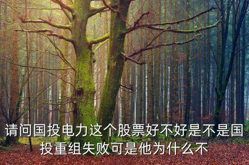請(qǐng)問(wèn)國(guó)投電力這個(gè)股票好不好是不是國(guó)投重組失敗可是他為什么不
