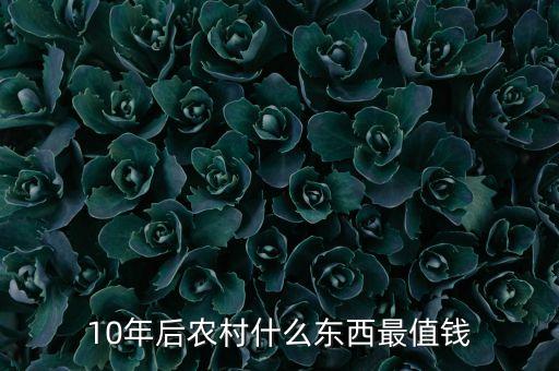 10年后什么最重要，以后10年什么行業(yè)最吃香