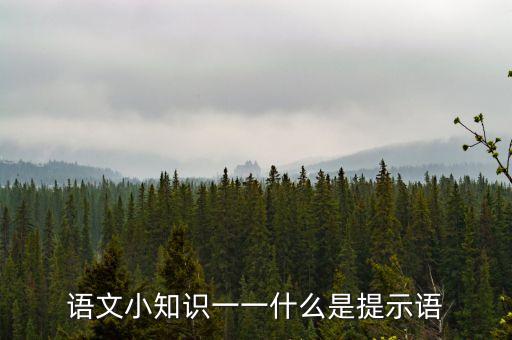 什么是提示性公告，公告是什么意思