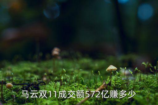 馬云雙11靠什么賺錢(qián)，馬云雙11一天賺了多少錢(qián)