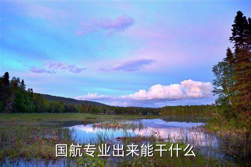 國(guó)航學(xué)生在租船公司到底做些什么那，國(guó)航專業(yè)出來能干什么