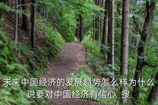 未來(lái)中國(guó)經(jīng)濟(jì)的發(fā)展趨勢(shì)怎么樣為什么說(shuō)要對(duì)中國(guó)經(jīng)濟(jì)有信心  搜