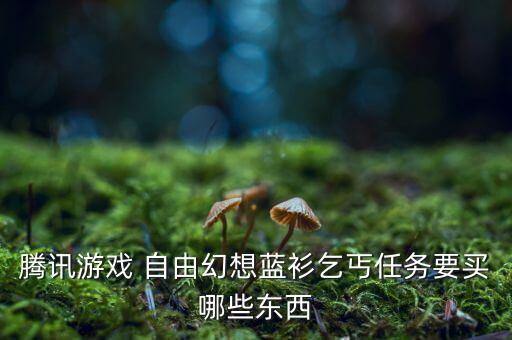 騰訊游戲 自由幻想藍衫乞丐任務要買哪些東西