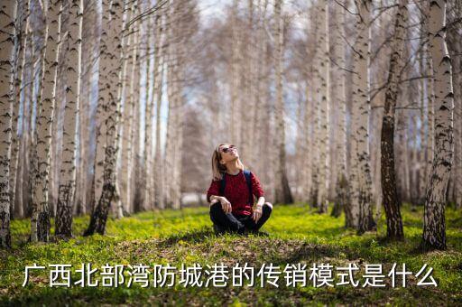 廣西傳銷是什么，廣西北海1040陽(yáng)光工程傳銷是什么意思