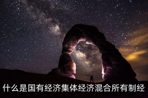 什么是國(guó)有經(jīng)濟(jì)集體經(jīng)濟(jì)混合所有制經(jīng)