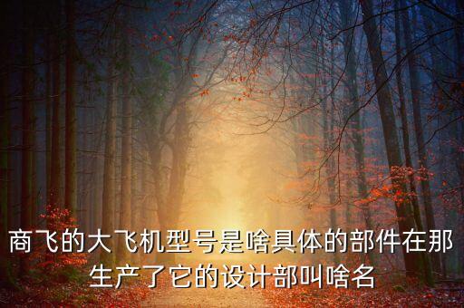 商飛的大飛機(jī)型號是啥具體的部件在那生產(chǎn)了它的設(shè)計部叫啥名