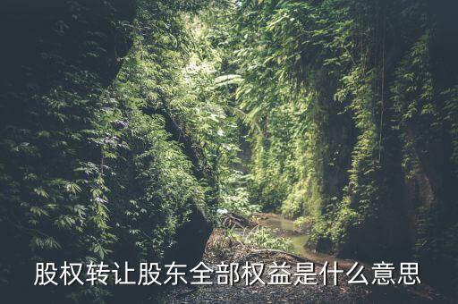 什么是全權(quán)益公司，股權(quán)轉(zhuǎn)讓股東全部權(quán)益是什么意思