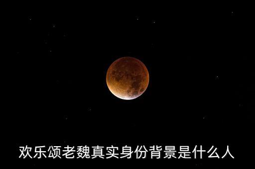 歡樂(lè)頌老魏真實(shí)身份背景是什么人