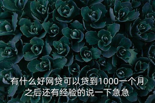 有什么好網貸可以貸到1000一個月之后還有經驗的說一下急急