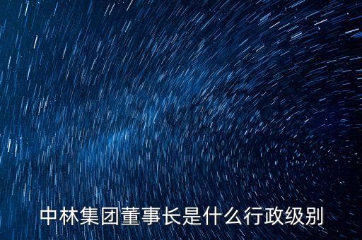 中林集團董事長是什么行政級別