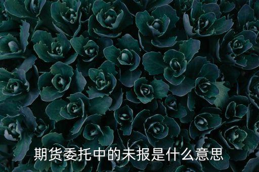 期貨委托中的未報(bào)是什么意思