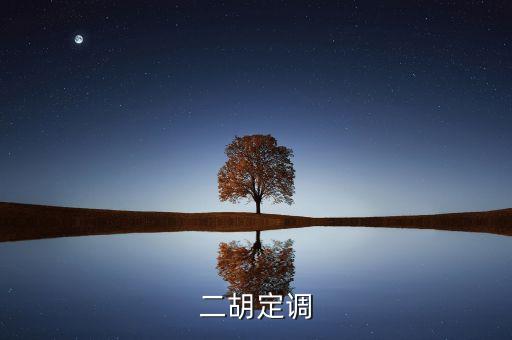 定調(diào)什么意思，二胡定調(diào)