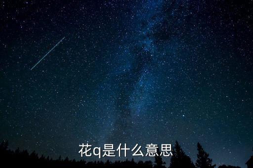 同花順q是什么意思，k線圖中的q代表什么意思啊