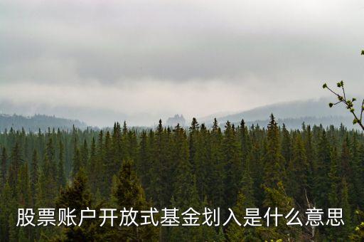 什么是開放式基金賬戶，什么是上海開放式基金賬戶與一般的基金帳戶有什么區(qū)別