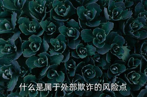 什么叫銀行外部風(fēng)險(xiǎn)，什么是屬于外部欺詐的風(fēng)險(xiǎn)點(diǎn)