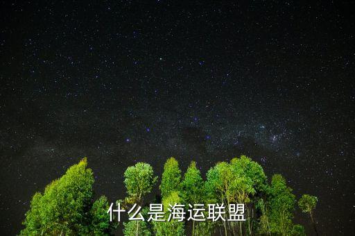 四大海運(yùn)聯(lián)盟有什么，什么是海運(yùn)聯(lián)盟