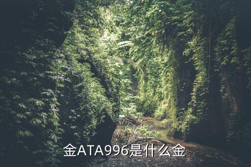 黃金996是什么意思，金ATA996是什么金
