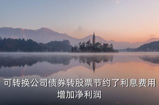 為什么我國可轉換債券采用賬面價值法，我國2006年企業(yè)會計準則對可轉換債券采取的是哪一種處理方法為何會