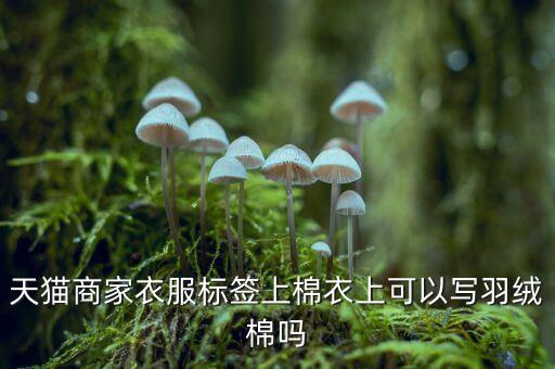 天貓商家衣服標(biāo)簽上棉衣上可以寫羽絨棉嗎