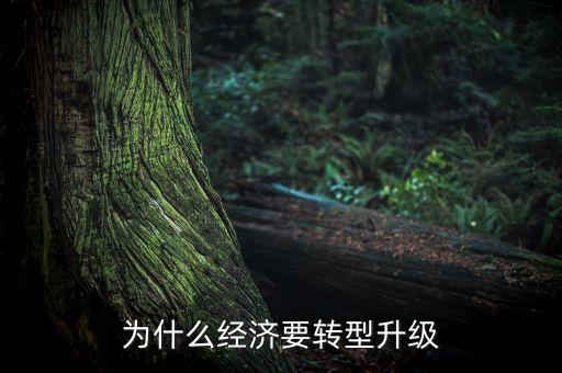 為什么經(jīng)濟(jì)要轉(zhuǎn)型升級