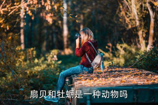 扇貝又叫什么，扇貝和牡蠣是一種動(dòng)物嗎