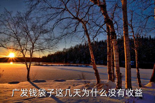 廣發(fā)錢袋子這幾天為什么沒有收益，廣發(fā)錢袋子這幾天為什么沒有收益