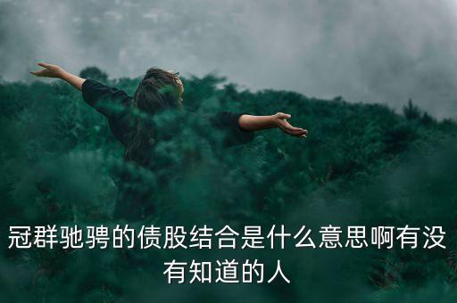 什么是股債結(jié)合，誰可以詳細介紹一下冠群馳騁的債股結(jié)合20