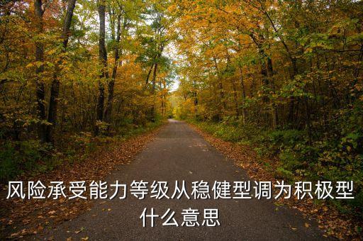 股票風(fēng)險等級是積極型什么意思，風(fēng)險承受能力等級從穩(wěn)健型調(diào)為積極型什么意思