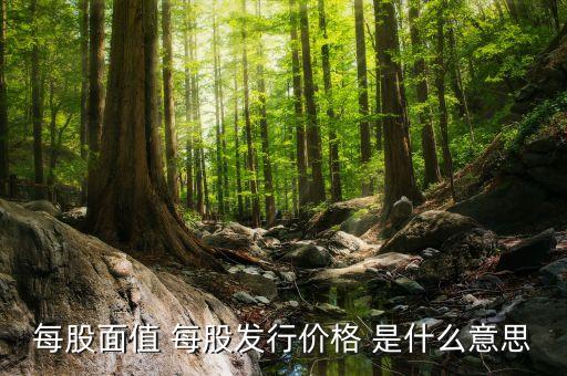 每股面值 每股發(fā)行價(jià)格 是什么意思