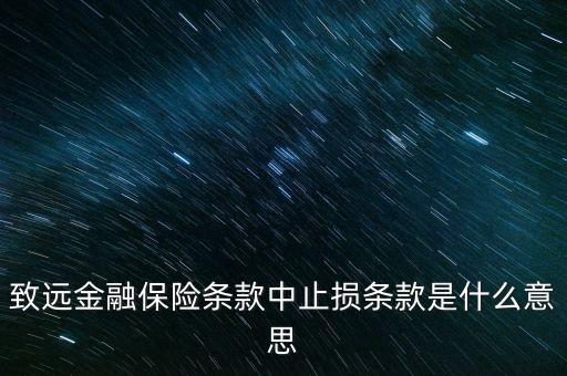 致遠(yuǎn)金融保險(xiǎn)條款中止損條款是什么意思