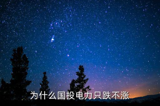 國(guó)投電力為什么跌停，國(guó)投電力停牌怎么回事呢
