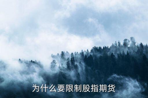 為什么不停止股指期貨，為什么要限制股指期貨