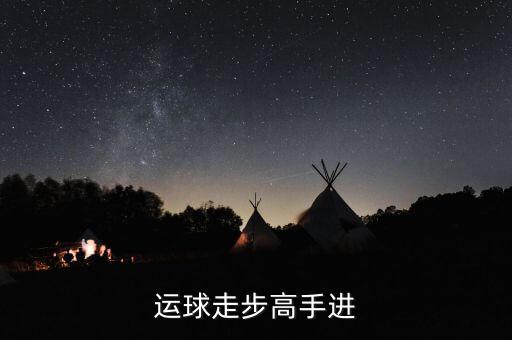德隆治下的湘火炬戰(zhàn)略不包括什么，德隆治下的湘火炬戰(zhàn)略包括有哪些