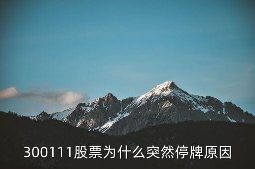 東方海洋為什么停牌，中國船舶股票停牌原因是什么