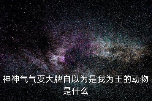 神神氣氣耍大牌自以為是我為王的動物是什么