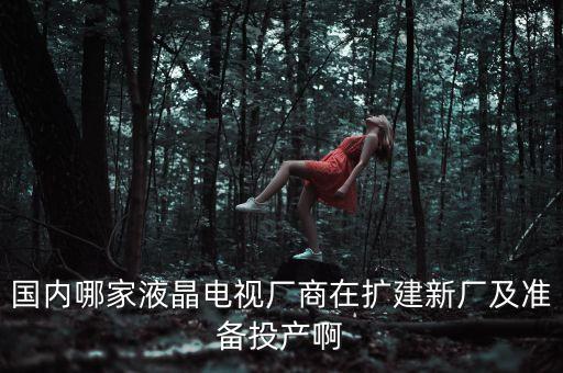 深天馬公司是做什么的，ITMESAT崗