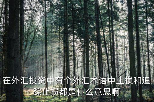 止損條款是什么意思，致遠(yuǎn)金融保險條款中止損條款是什么意思